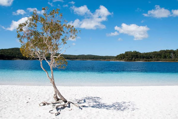 Đảo Fraser, Australia là một thiên đường cho khách du lịch tới nghỉ dưỡng nhưng nơi đây là nhà của một số lượng lớn sứa và cá mập. Bên cảnh đó đảo còn là nơi sinh sống của một số loài nhận nguy hiểm nhất thế giới và những con cá sấu khổng lồ. Do vậy nó được xếp là một trong những bãi biển nguy hiểm nhất thế giới.