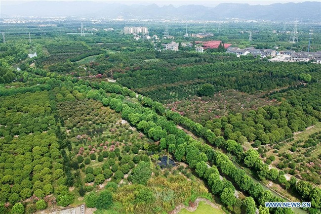 Trong tương lai, Tengtou sẽ tìm kiếm cách thức phát triển xanh mới như kinh tế tuần hoàn và năng lượng mặt trời.