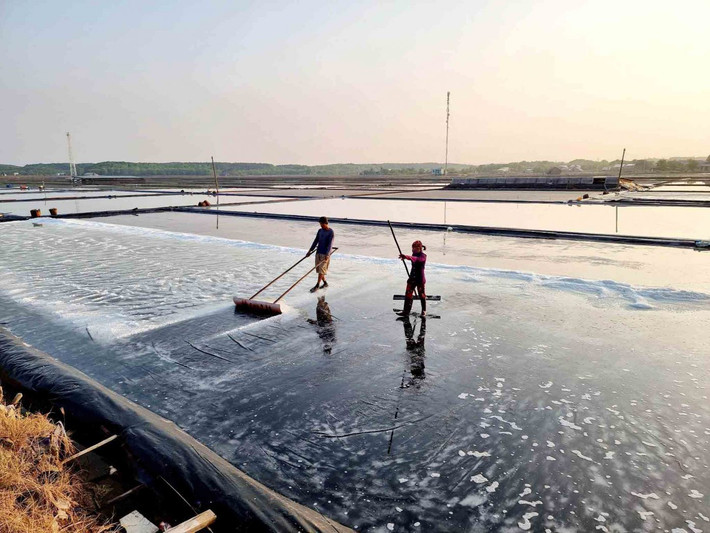 Những ngày đầu tháng 3, ấp đảo đang vào mùa thu hoạch muối bởi thời tiết bắt đầu nắng gắt. Ảnh: Lê Dân Nam