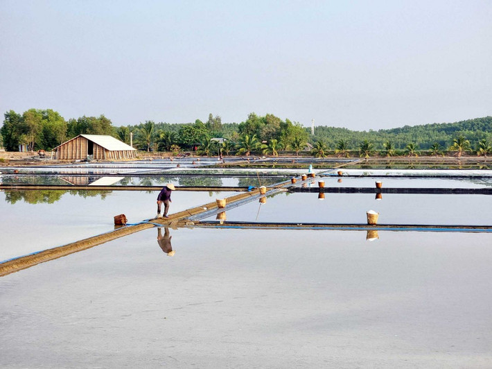 Thiềng Liềng được xem là sản phẩm du lịch cộng đồng đúng nghĩa đầu tiên của TPHCM. Ảnh: Lê Dân Nam