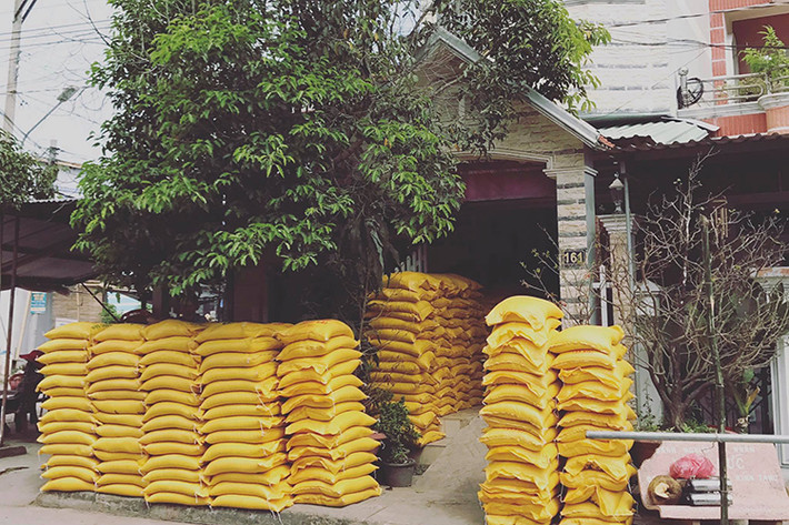 Đây không phải là lần đầu tiên Ngọc Trinh phát gạo làm từ thiện ở quê hương bởi lẽ, vào tháng 3/2015, cũng tại Trà Vinh, người đẹp sinh năm 1989 đã phát 14 tấn gạo. (Ảnh: Facebook nhân vật)