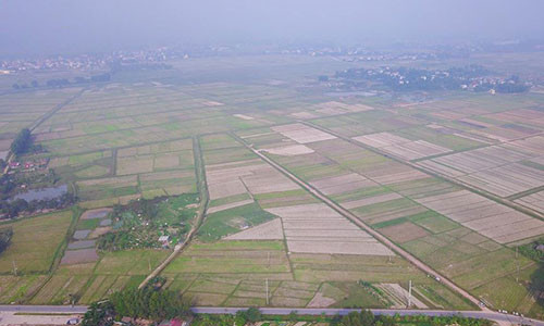 Trường đua ngựa hơn 400 triệu USD tương đương với khoảng 10.000 tỷ đồng dự kiến sẽ được xây dựng tại xã Tân Minh, huyện Sóc Sơn (Hà Nội) với quy mô hơn 100ha.
