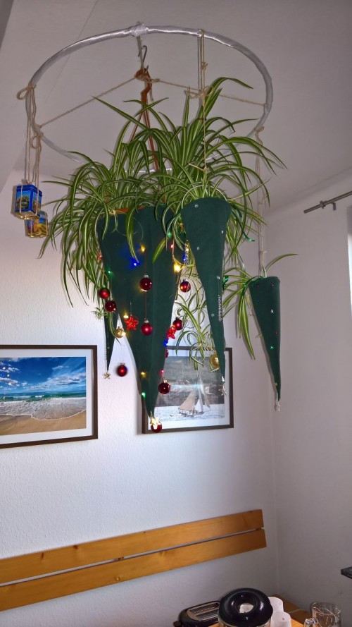 Cây thông Noel phiên bản chậu cây úp ngược.
