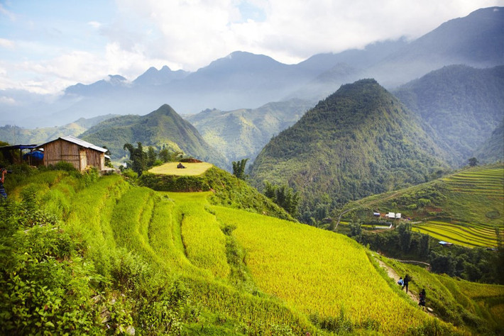 Sa Pa, Lào Cai: Từ thị trấn nhỏ nhộn nhịp, du khách có thể tới các bản làng của người dân tộc nằm giữa ruộng nương để trải nghiệm văn hóa và ẩm thực bản địa. Ảnh: Lonely Planet.