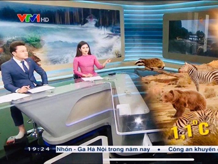 Tối ngày 16/12, trong chương trình Thời sự 19h của VTV, BTV Hữu Bằng gây chú ý khi để lộ hình ảnh đi chân trần.