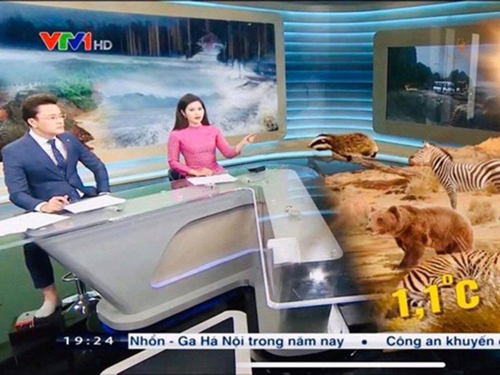 Tối ngày 16/12, trong chương trình Thời sự 19h của VTV, BTV Hữu Bằng để lộ hình ảnh đi chân trần. Khoảnh khắc nhanh chóng thu hút sự quan tâm của khán giả.