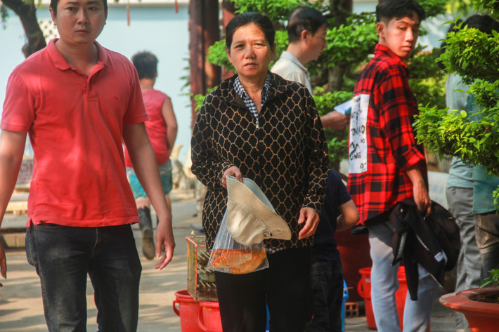 Sáng 17/1 (23 tháng Chạp), nhiều gia đình mua cá chép về cúng để tiễn ông Táo "chầu trời". Theo quan niệm người Việt, sau khi cá chép hóa rồng, sẽ trở thành phương tiện để ông Táo cưỡi vượt Vũ môn lên Thiên đình. Như mọi năm, nhiều người dân thường tập trung tại chùa Diệu Pháp (quận Bình Thạnh) để lễ Phật và thả cá chép xuống sông Sài Gòn. Từ sáng sớm, nhiều người dân đưa cá ra khu vực bờ sông Sài Gòn sát bên chùa Diệu Pháp để thả. Phần lớn cá được phóng sinh khu vực này là cá chép vàng.