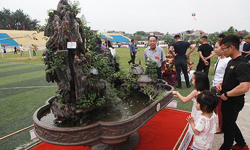 Xuất hiện tại Triển lãm sinh vật cảnh Sơn Tây (Hà Nội) mở rộng năm 2019, tiểu cảnh mang tên "Quê hương tôi Việt Nam” của nghệ nhân Nguyễn Văn Tiến (Sơn Tây) thu hút khá đông du khách đến chiêm ngưỡng.