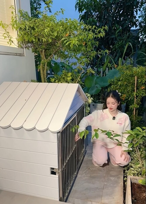 Trong khu vườn nhỏ tại biệt thự, nữ DJ thiết kế nơi ở cho thú cưng. Ảnh: TikTok Mie.
