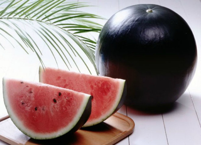 Dưa hấu đen Densuke là một trong những loại thực phẩm đắt đỏ nhất thế giới, được mệnh danh là vua của các loài dưa hấu và là đặc sản của vùng Hokkaido, Nhật Bản. Vào năm 2008, một quả dưa hấu đen Densuke đầu tiên đã được bán với giá kkhoảng 6,300 USD/quả - mức giá khiên nhiều người choáng váng. Ảnh: yummy.