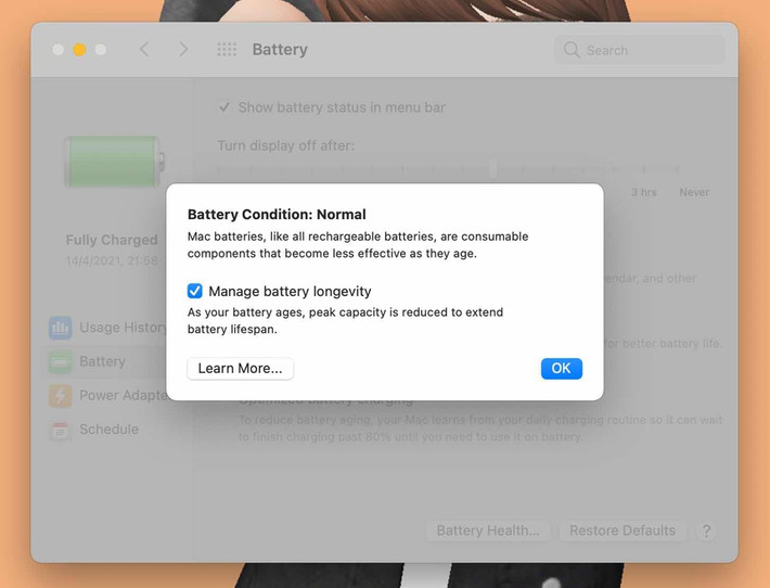 Kiểm tra tình trạng pin. Trên macOS, người dùng có thể kiểm tra tình trạng pin của máy bằng cách vào System Preferences > Battery > Battery > Battery Health. Kết quả ghi Normal nghĩa là pin trên máy hoạt động bình thường, còn Service Recommended là pin có vấn đề, vẫn sử dụng được nhưng bạn nên mang máy đến trung tâm bảo hành để được hỗ trợ. Ảnh: Chụp màn hình.