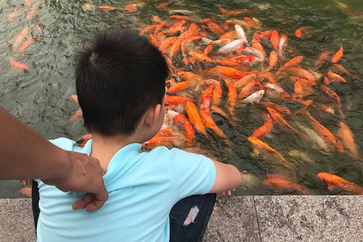 Chồng trẻ của Lê Phương chăm sóc bé Cà Pháo từng ly từng tý một.
