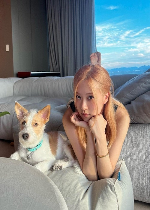 Rosé nắm trong tay khối tài sản 18 triệu USD. Cô sống trong căn hộ sang trọng. Ảnh: Thế Giới Điện Ảnh.