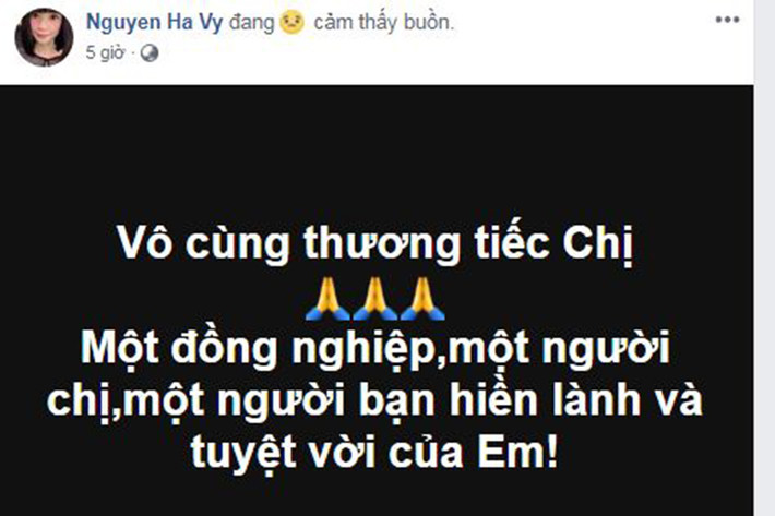 Người mẫu Như Hương qua đời ở tuổi 37 khiến gia đình, đồng nghiệp và bạn bè tiếc thương. Người mẫu Hạ Vy nghẹn ngào viết: "Vô cùng thương tiếc chị. Một đồng nghiệp, một người chị, một người bạn hiền lành và tuyệt vời của em".