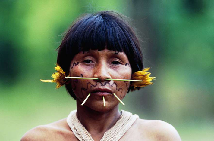 Sống trong rừng Amazon nằm ở biên giới giữa Venezuela và Brazil, bộ lạc Yanomami có một tập tục vô cùng kỳ quái. Họ sẽ hỏa thiêu thi thể của người thân đã khuất rồi lấy phần tro đó cho vào đồ ăn. Người Yanomami tin rằng điều này sẽ khiến linh hồn của những người đã khuất đến được nơi an yên vĩnh cửu.