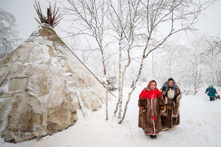 Bộ lạc Nenets ở khu vực phía bắc Siberia có ngôn ngữ riêng và sống theo kiểu bán du mục.