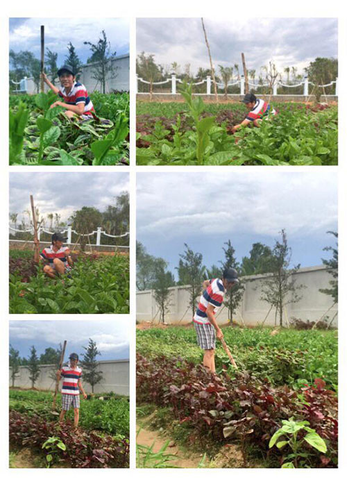 Khi thảnh thơi, Hoài Linh không ngần ngại chăm sóc nhà thờ Tổ nghiệp như trồng rau, chăm bón cây cối trong khuôn viên.