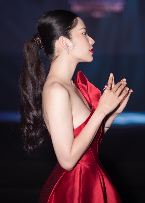 Ngoài lợi thế sắc vóc, Nam Em còn có kinh nghiệm thi nhan sắc. Cô là Hoa khôi Đồng bằng sông Cửu Long 2015, lọt top 8 Miss Earth 2016 - Hoa hậu Trái đất 2016.