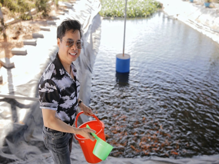 Ngoài cá, nông trại của Ngọc Sơn còn có gà Đông Tảo, cầy hương, các loại chim.
