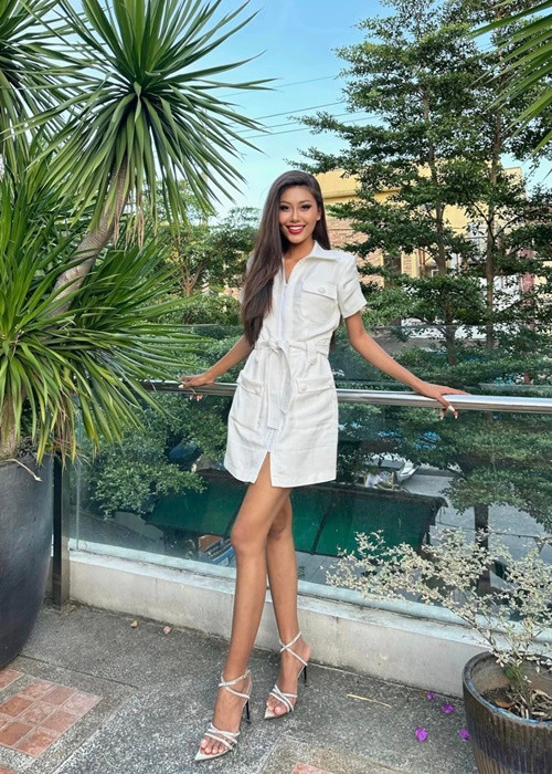 Đại diện Việt Nam đã trải qua các phần thi phụ: trình diễn bikini, trình diễn trang phục dạo biển, tài năng, trình diễn trang phục dạ hội, trình diễn tại resort. Ảnh: FBNV