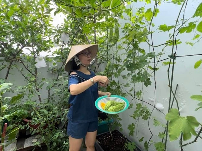 Cẩm Ly cùng nhạc sĩ Minh Vy và hai con gái đang sống trong biệt thự 20 tỷ. Mỗi dịp lễ Tết, Giáng sinh, cô tự tay trang trí nhà cửa. Cẩm Ly còn thường xuyên vào bếp nấu nướng, thu hoạch rau trái. Ảnh: FB Cẩm Ly.