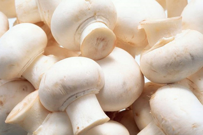 Mỗi 100 gram nấm trắng xấy khô có chứa 5 - 6 gram protein, 0,6 - 3,1 gram chất béo, 79 gram carbohydrate, 2,6 gram chất xơ, 380 mg canxi, 250 mg photpho, 30 mg sắt, cũng như nhiều các chất dinh dưỡng khác như vitamin B2 và các chất dinh dưỡng cần thiết khác giúp loại bỏ mệt mỏi trong cơ thể.