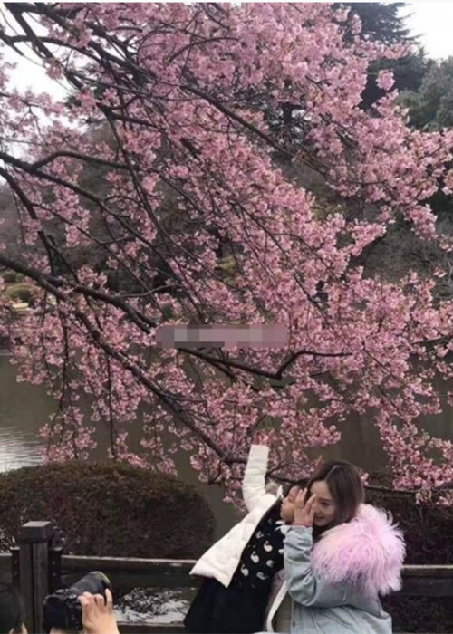 Cách đây ít ngày, Lý Tiểu Lộ đưa con gái Điềm Hinh đi du lịch Nhật Bản mà không có Giả Nãi Lượng đi cùng. Ảnh: Sina