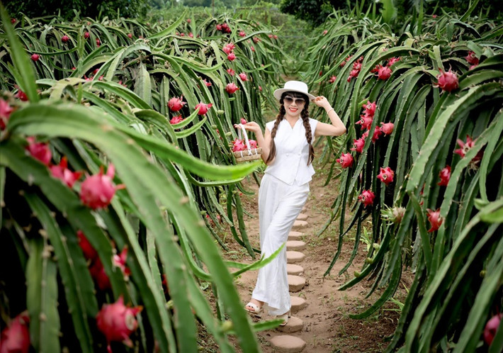 Bà Lan rất tự hào về Thúy Hằng - Thúy Hạnh vì cả hai đều ngoan ngoãn, nghe lời.
