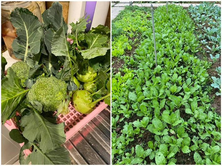 Hoa hậu Việt Nam 2004 yêu thích công việc làm vườn. Cô thường xuyên khoe rau quả tự trồng trong vườn nhà.