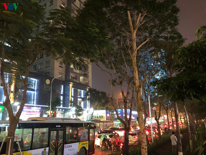 Dòng xe cộ kiên nhẫn chờ đèn.