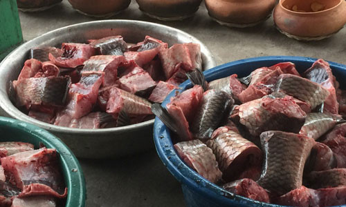 Loại cá được chọn để làm nên niêu cá kho làng Đại Hoàng phải là loại cá trắm đen, 5-7kg. Nguồn nguyên liệu cá ngon nhất là Lý Nhân hoặc Ninh Bình. Một trong những lưu ý đặc biệt khi sơ chế cá là đã dính dao thì không được rửa lại cá để tránh mất độ ngọt tự nhiên.