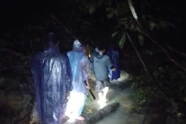 Xuyên đêm tìm kiếm người phụ nữ mất tích nhiều giờ trong rừng ở Quảng Trị