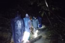 Xuyên đêm tìm kiếm người phụ nữ mất tích nhiều giờ trong rừng ở Quảng Trị