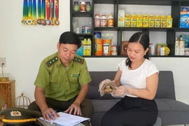 Cá thể rùa vàng quý hiếm vừa được bàn giao ở Huế