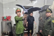 Kiểm tra đột xuất nhà hàng, phát hiện hơn 100 cá thể chim hoang dã 