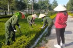 Công ty Bảo Long trúng thầu chăm sóc cây xanh tại phường Minh Hưng