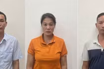 Xem xét thi hành kỷ luật cựu Giám đốc Công ty TNHH MTV Lâm nghiệp Hoành Bồ