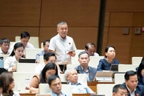 ĐBQH đề xuất điều tra tình trạng dùng gỗ quý tự nhiên làm bàn ghế, tủ, giường