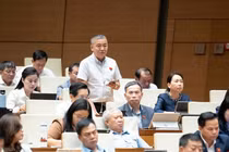 ĐBQH đề xuất điều tra tình trạng dùng gỗ quý tự nhiên làm bàn ghế, tủ, giường