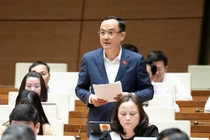 Môi trường là nền tảng thu hút đầu tư chất lượng cao