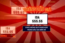 Năm 2025, đấu giá thành công hơn 140 nghìn biển số xe, thu 5.155 tỷ đồng