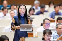 ĐBQH Trần Khánh Thu.