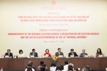 5 người tự ứng cử Đại biểu Quốc hội khoá XVI không trúng cử