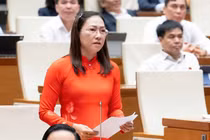 'Bắt cóc online' làm 'nóng' nghị trường Quốc hội