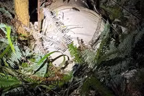 Điều tra vụ án thi thể người phụ nữ phân huỷ ở Móng Cái