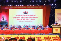 Văn kiện đã thể hiện khát vọng, ý chí, tầm nhìn chiến lược