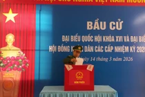 Không khí bầu cử sớm rộn ràng trên đảo tiền tiêu Bạch Long Vĩ