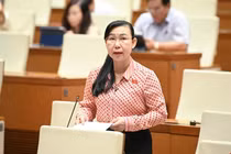 Đại biểu Quốc hội đề xuất "giải cứu" tang vật, tránh hư hỏng, lãng phí