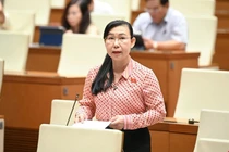 Đại biểu Quốc hội đề nghị giảm thời hạn tạm giữ tang vật