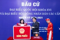 Lãnh đạo MTTQ Việt Nam bỏ phiếu bầu cử tại cơ sở địa phương